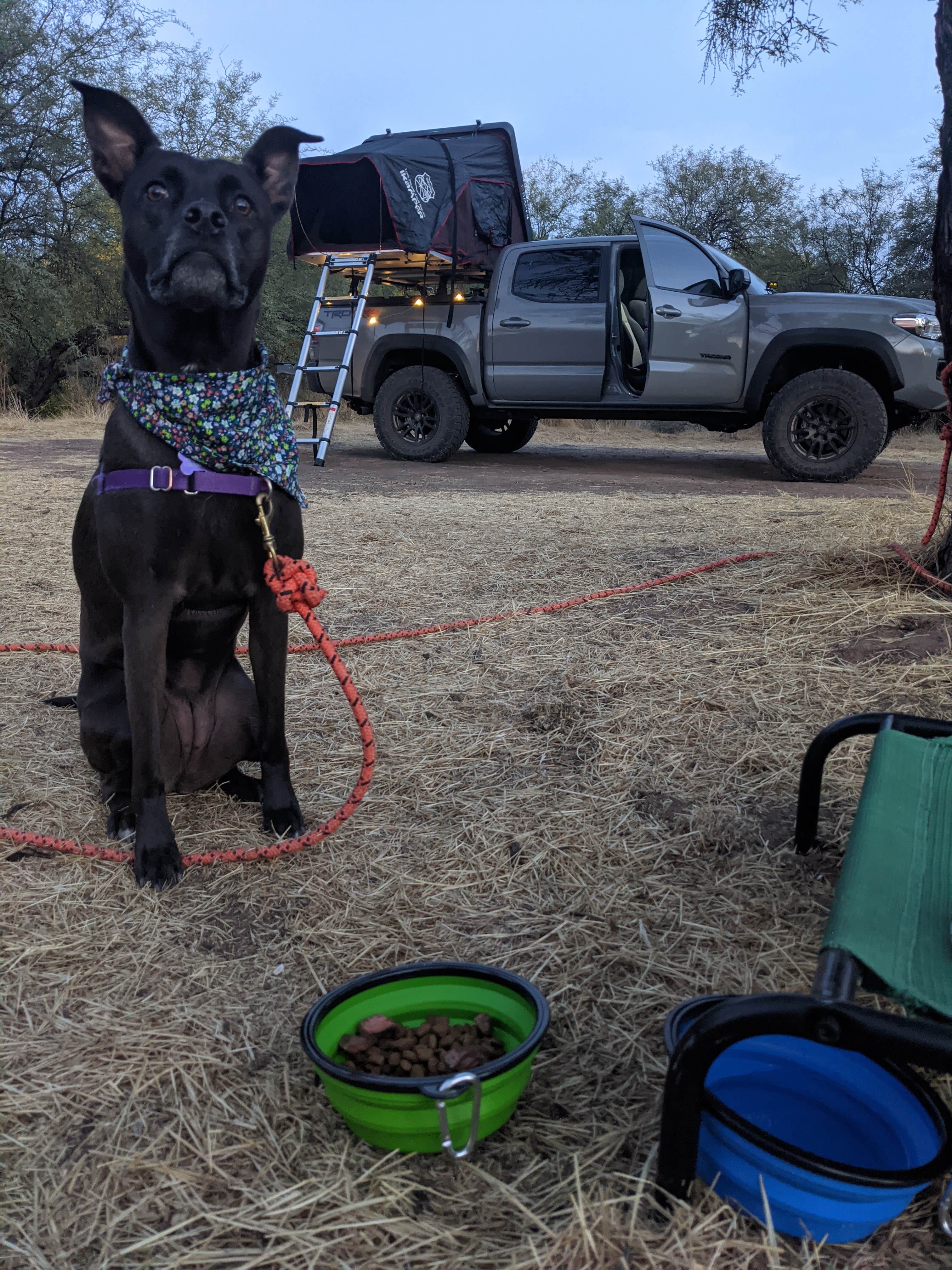 Camper-submitted photo at Mesquite Campground near Surprise, AZ