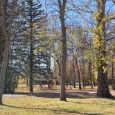 Review photo of Hatton Park Board Campground by Janet R., November 1, 2020