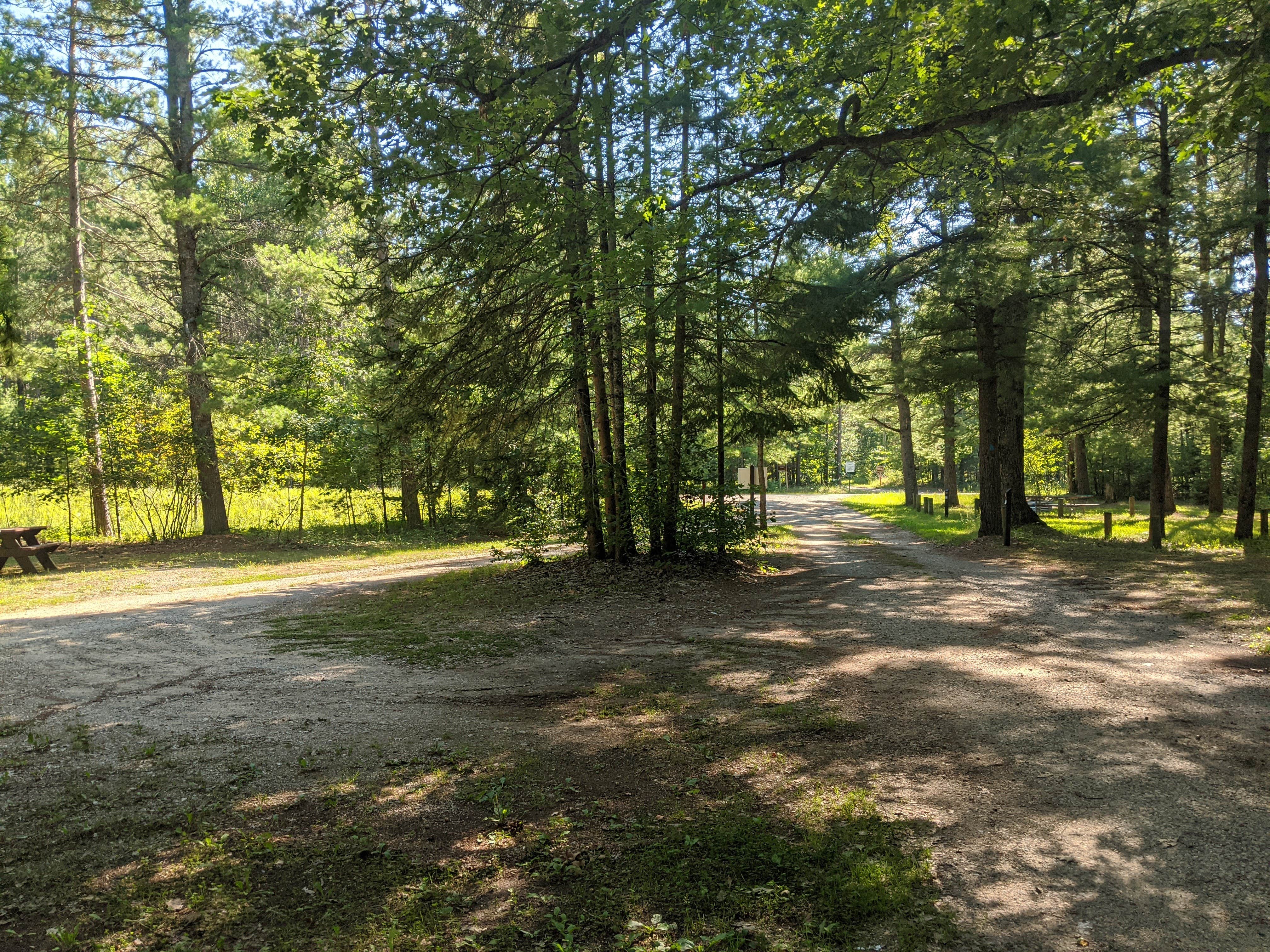 Camper submitted image from Pigeon Bridge State Forest Campground - 2