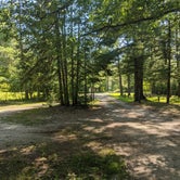 Review photo of Pigeon Bridge State Forest Campground by Shari  G., November 1, 2020