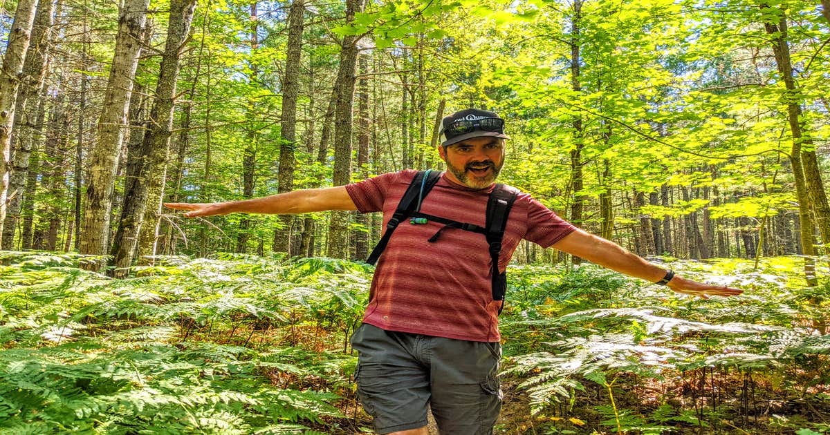 Pigeon Bridge State Forest Campground | Vanderbilt, MI