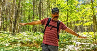 Pigeon Bridge State Forest Campground