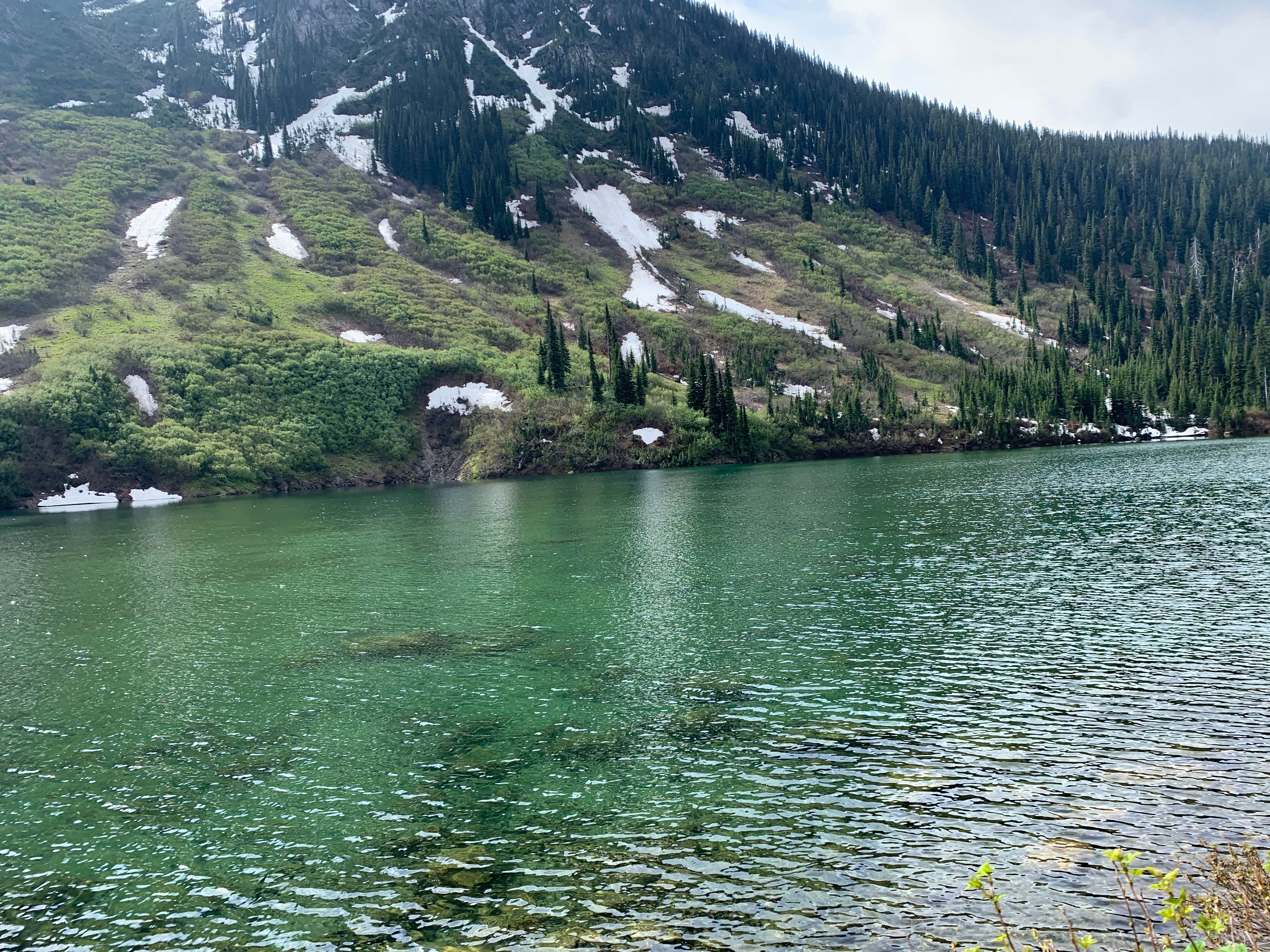 Angela's photo of a dispersed camping area at Red Meadow Lake near Eureka, MT