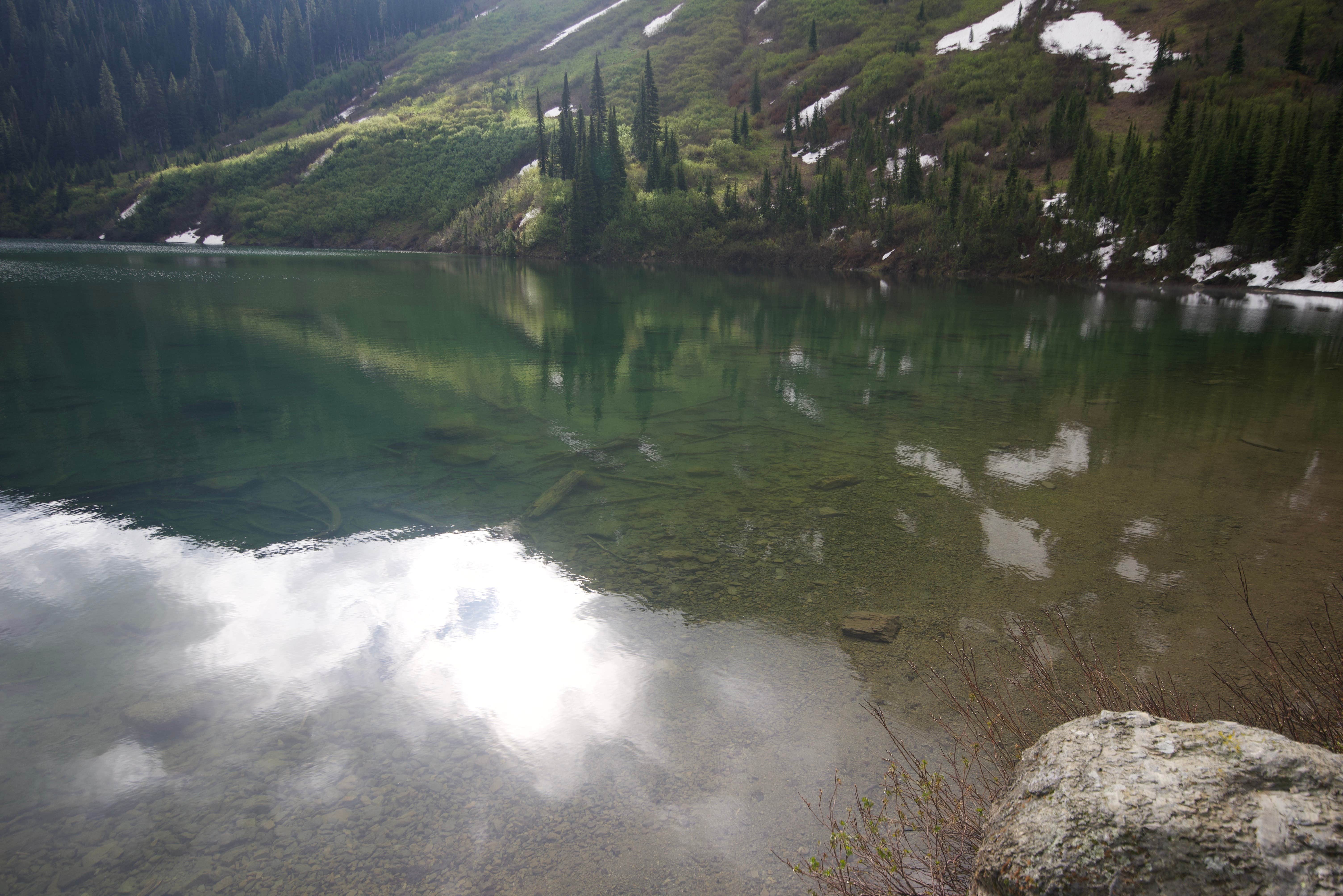 Angela's photo of a dispersed camping area at Red Meadow Lake near Eureka, MT