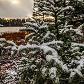 Review photo of Big Lake State Forest Campground by Shari  G., November 1, 2020