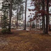 Review photo of Big Lake State Forest Campground by Shari  G., November 1, 2020