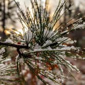 Review photo of Big Lake State Forest Campground by Shari  G., November 1, 2020