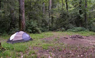 Myron C.'s photo at King Creek near Cashiers, NC