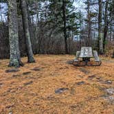 Review photo of Ontonagon Township Park and Campground by Shari  G., November 1, 2020