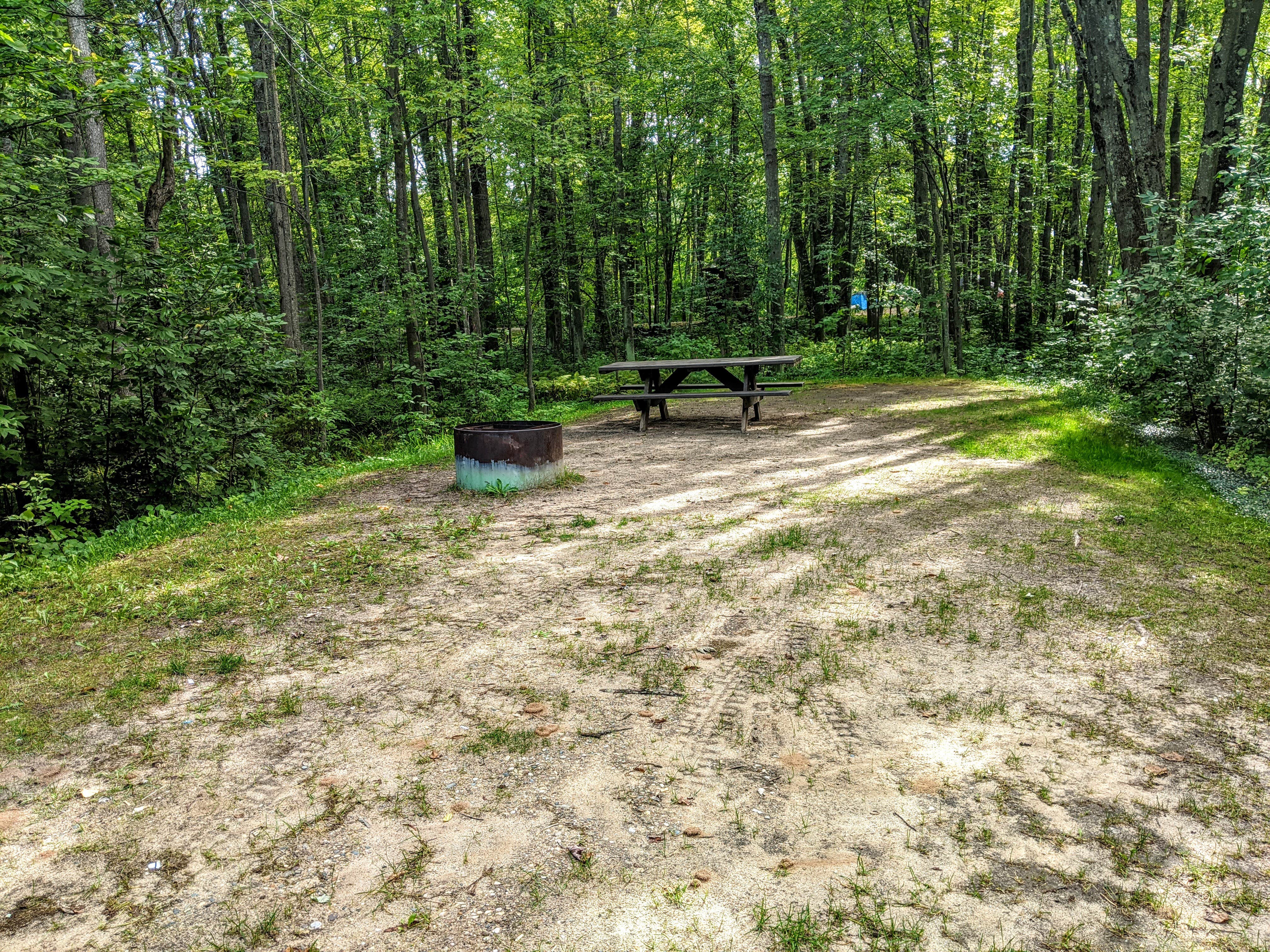 Camper-submitted photo at Maple Bay State Forest Campground near Afton, MI