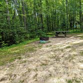 Review photo of Maple Bay State Forest Campground by Shari  G., November 1, 2020