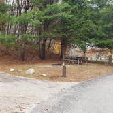 Review photo of Mashamoquet Brook State Park Wolf Den Campground by Jean C., November 1, 2020