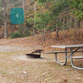 Review photo of Mashamoquet Brook State Park Wolf Den Campground by Jean C., November 1, 2020