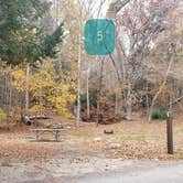 Review photo of Mashamoquet Brook State Park Wolf Den Campground by Jean C., November 1, 2020