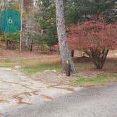 Review photo of Mashamoquet Brook State Park Wolf Den Campground by Jean C., November 1, 2020