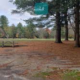 Review photo of Mashamoquet Brook State Park Wolf Den Campground by Jean C., November 1, 2020