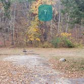 Review photo of Mashamoquet Brook State Park Wolf Den Campground by Jean C., November 1, 2020