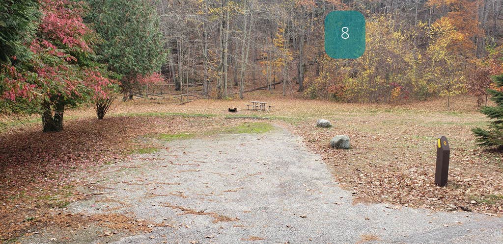 Camper-submitted photo at Wolf Den Campground — Mashamoquet Brook State Park near Haddam, CT