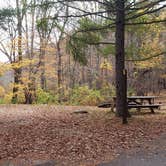 Review photo of Mashamoquet Brook State Park Wolf Den Campground by Jean C., November 1, 2020