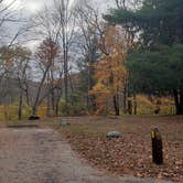 Review photo of Mashamoquet Brook State Park Wolf Den Campground by Jean C., November 1, 2020