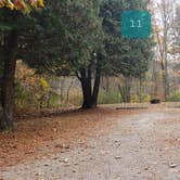 Review photo of Mashamoquet Brook State Park Wolf Den Campground by Jean C., November 1, 2020