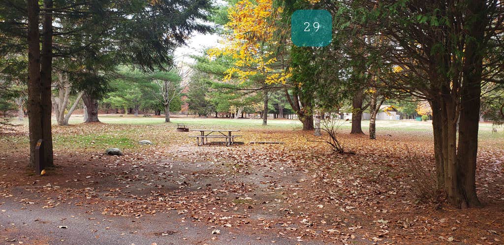 Camper-submitted photo at Wolf Den Campground — Mashamoquet Brook State Park near Haddam, CT