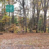 Review photo of Mashamoquet Brook State Park Wolf Den Campground by Jean C., November 1, 2020