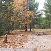 Review photo of Mashamoquet Brook State Park Wolf Den Campground by Jean C., November 1, 2020