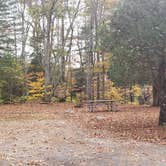 Review photo of Mashamoquet Brook State Park Wolf Den Campground by Jean C., November 1, 2020