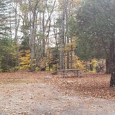 Review photo of Wolf Den Campground — Mashamoquet Brook State Park by Jean C., November 1, 2020