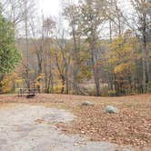 Review photo of Mashamoquet Brook State Park Wolf Den Campground by Jean C., November 1, 2020