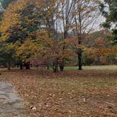 Review photo of Mashamoquet Brook State Park Wolf Den Campground by Jean C., November 1, 2020