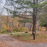 Review photo of Mashamoquet Brook State Park Wolf Den Campground by Jean C., November 1, 2020