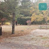 Review photo of Mashamoquet Brook State Park Wolf Den Campground by Jean C., November 1, 2020