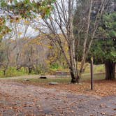 Review photo of Mashamoquet Brook State Park Wolf Den Campground by Jean C., November 1, 2020