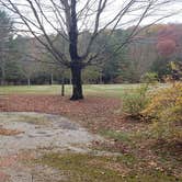 Review photo of Mashamoquet Brook State Park Wolf Den Campground by Jean C., November 1, 2020