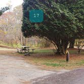 Review photo of Mashamoquet Brook State Park Wolf Den Campground by Jean C., November 1, 2020