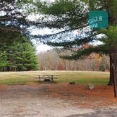 Review photo of Mashamoquet Brook State Park Wolf Den Campground by Jean C., November 1, 2020