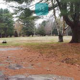 Review photo of Mashamoquet Brook State Park Wolf Den Campground by Jean C., November 1, 2020