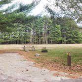 Review photo of Mashamoquet Brook State Park Wolf Den Campground by Jean C., November 1, 2020