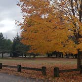 Review photo of Mashamoquet Brook State Park Wolf Den Campground by Jean C., November 1, 2020