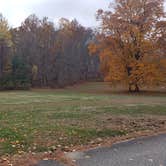 Review photo of Mashamoquet Brook State Park Wolf Den Campground by Jean C., November 1, 2020