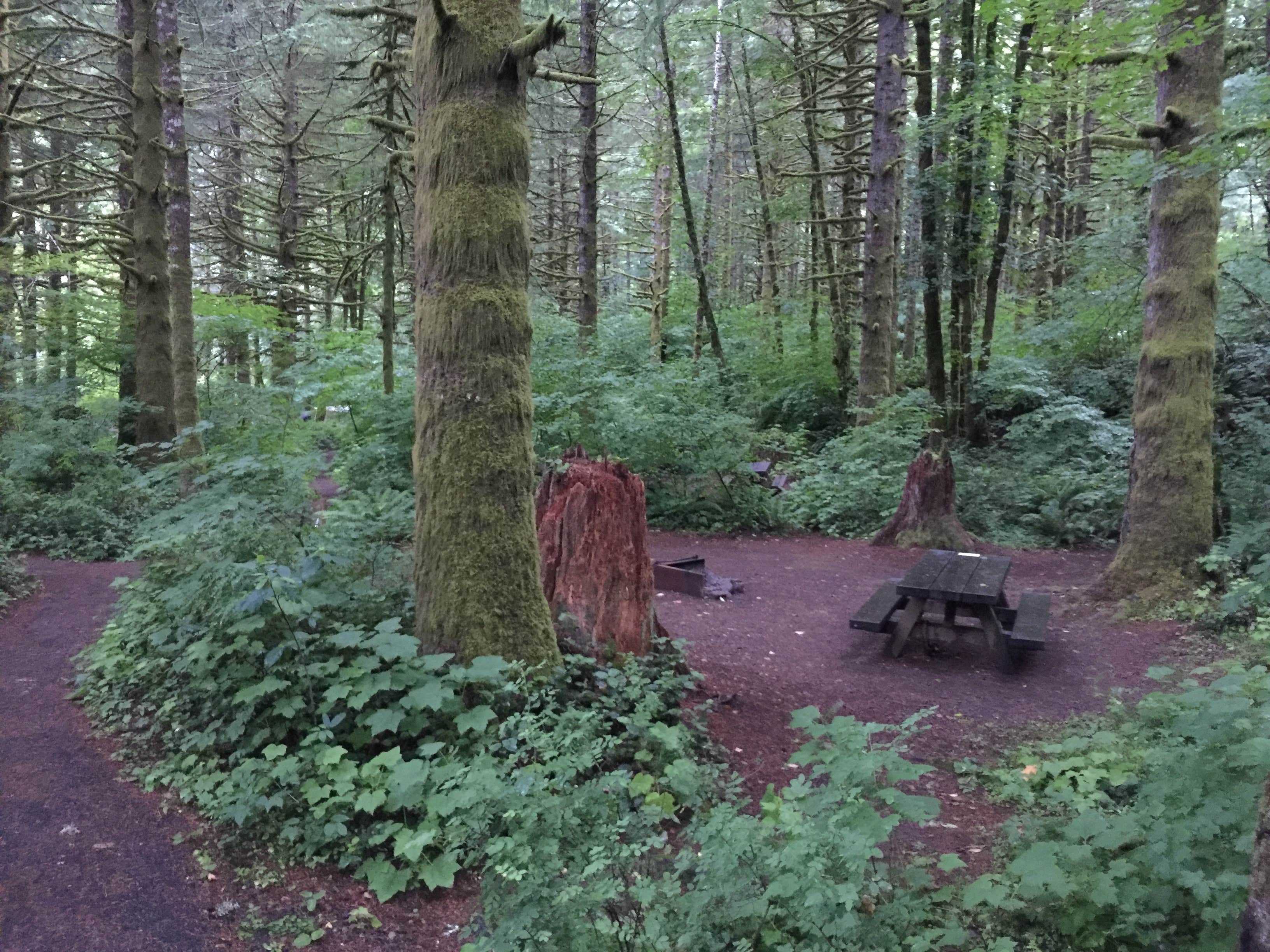 Camper submitted image from Elk Creek Campground - 5