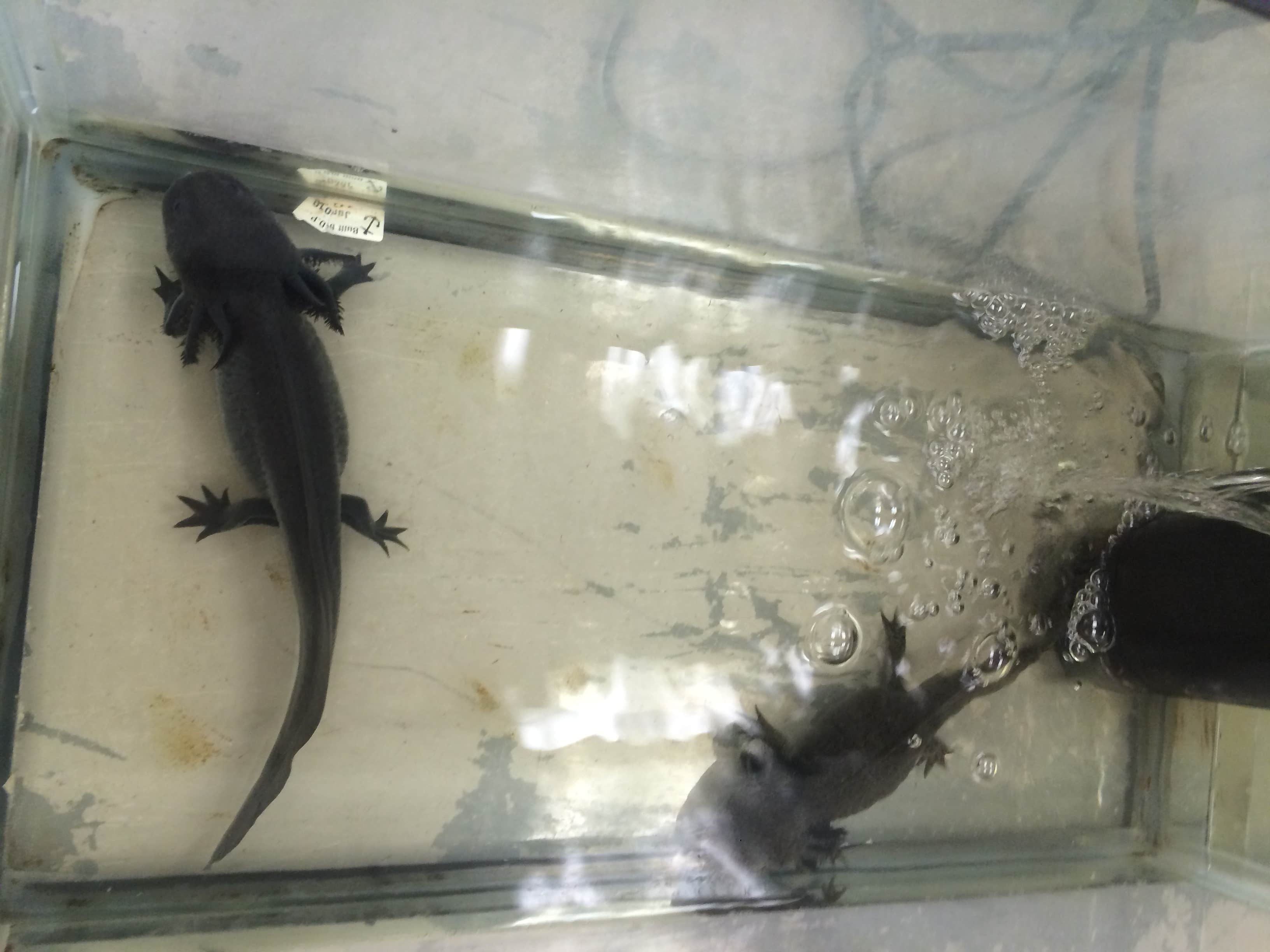 Camper-submitted photo at Field Tract Campground near Rowe, NM