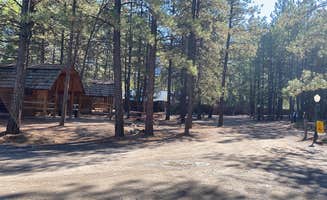 kristin S.'s photo of a cabin at Ouray KOA near Telluride, CO