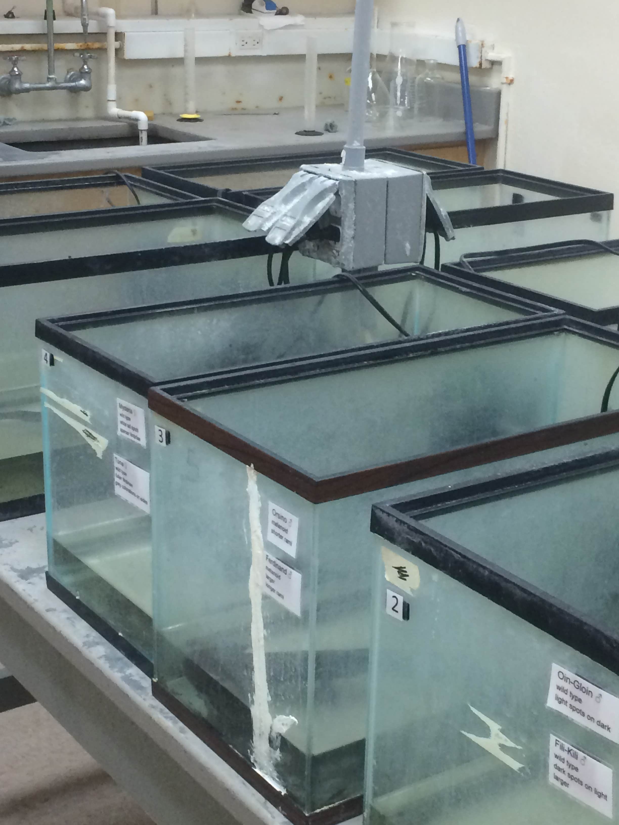 Camper-submitted photo at Field Tract Campground near Rowe, NM