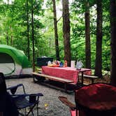 Review photo of Smith Mountain Lake State Park Campground by Diane D., May 22, 2018