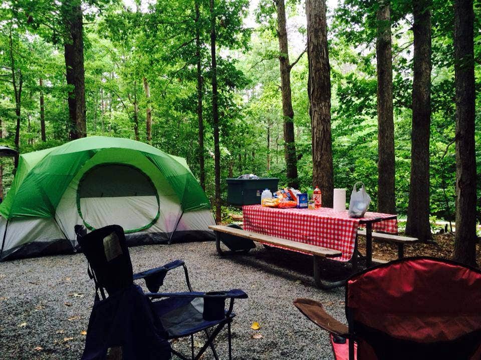 Camper submitted image from Smith Mountain Lake State Park Campground - 2