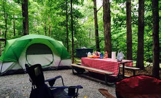 Diane D.'s photo at Smith Mountain Lake State Park Campground near Cloverdale, VA