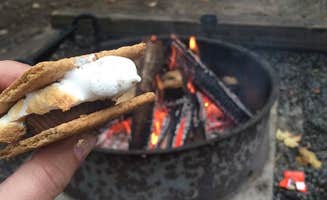 Diane D.'s photo at Smith Mountain Lake State Park Campground near Cedar Bluff, VA